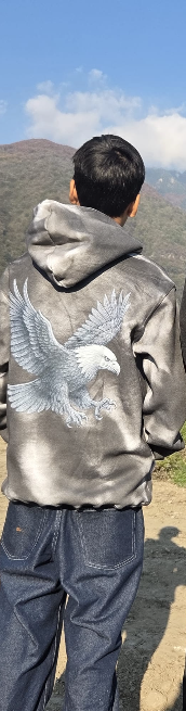 Full-zip hoodie eagle freedom